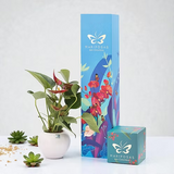 Anturio-Planta