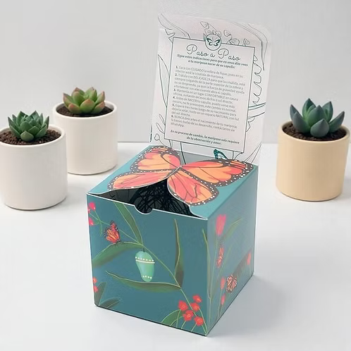 Jardín Suculenta Mariposa
