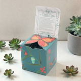 Kit Nuevos Comienzos: Pin + Mariposa