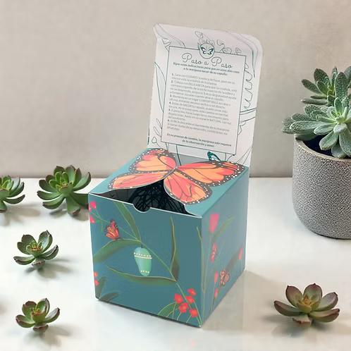 Kit Nuevos Comienzos: Pin + Mariposa